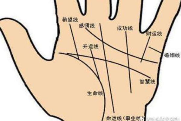 解密医学手相：通过手掌线条探索身体健康秘密