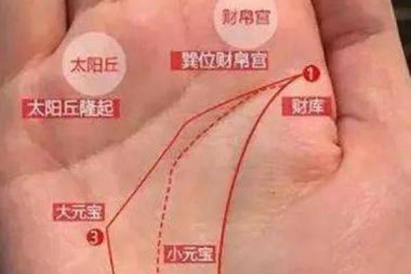 探秘王大有手相：了解手掌线条背后的命运玄机