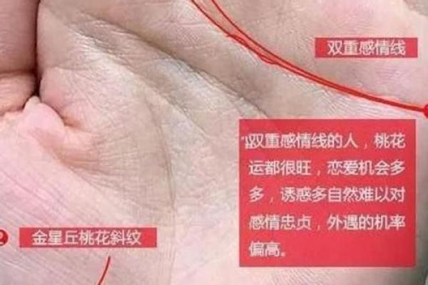 了解你的败家手相，改变未来财富走向