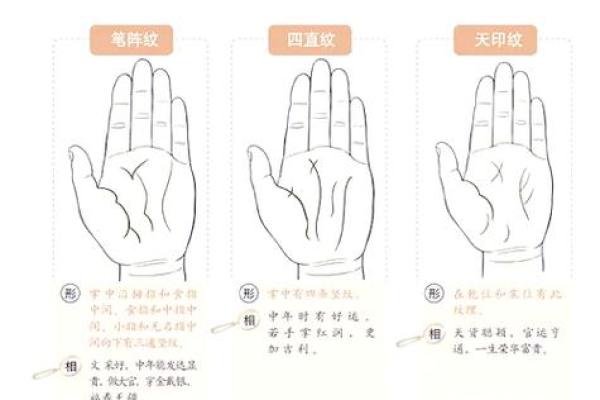 数字化手相分析：电脑助你看透自己的命运之路