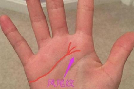 指缝宽手相解析：揭示个性与命运的奥秘