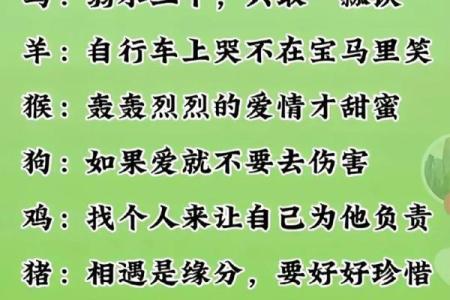 肆无忌惮与哪些生肖性格契合解析