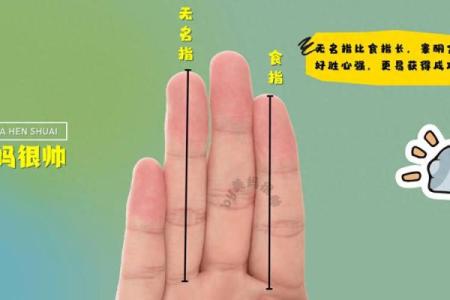 通过新生儿手相探索孩子的性格与潜力