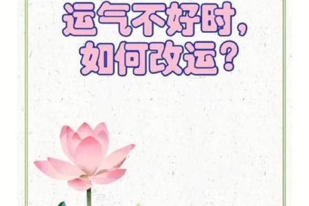 如何利用命理秘本调整人生轨迹与运势