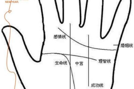 解密医学手相：通过手掌线条探索身体健康秘密