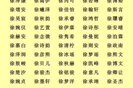 徐姓男孩名字推荐与寓意解析