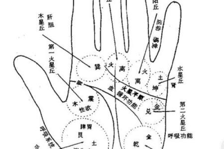 手相黑子纹解析：影响你命运的微小标志