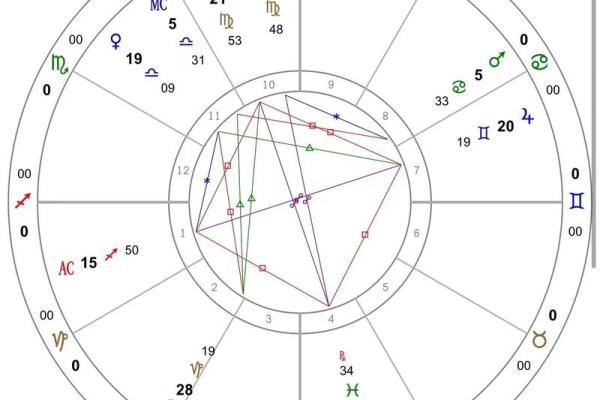 紫薇盘排解读：从星象看你的人生路径与运势