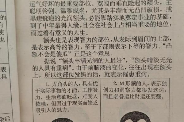 头骨在面相学中的重要性与分析技巧