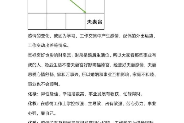 免费紫薇排盘服务，让你轻松掌握人生方向