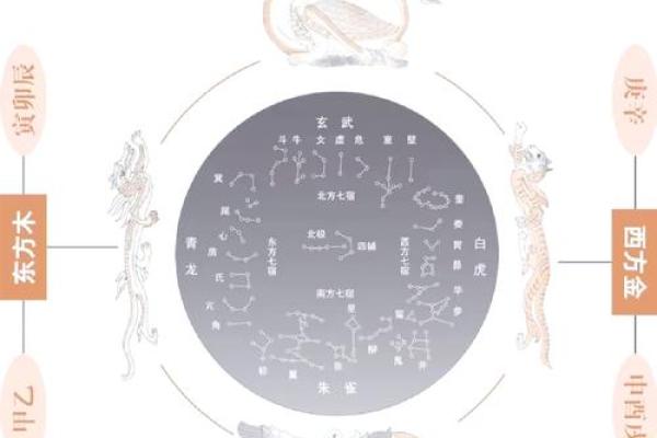 从命理角度看人生：根据出生日期揭示你的命运走向