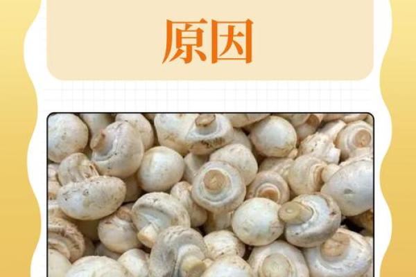解密胎命：影响人生的潜在因素