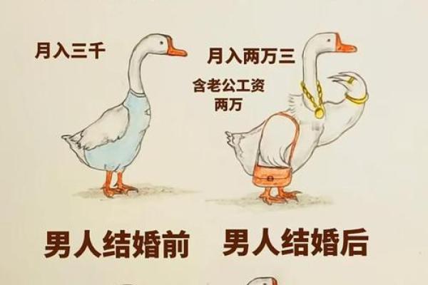 蛇男猪女婚姻关系的优缺点：性格差异与和谐之道
