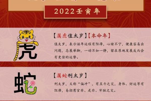 蛇男猪女婚姻关系的优缺点：性格差异与和谐之道