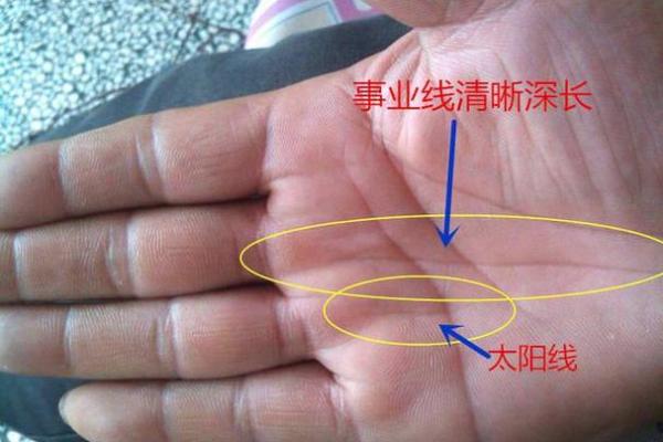 老板命手相图解：这些手相特征预示着事业腾飞