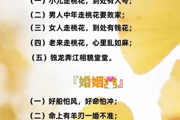 胎命在八字命理中的含义解析