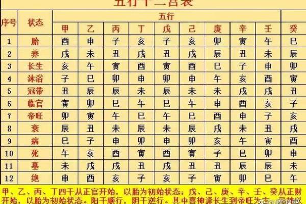 乙字五行属什么及其在命理中的含义解析