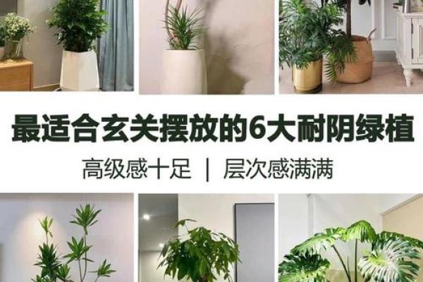 从家门布局看主人的财运方向