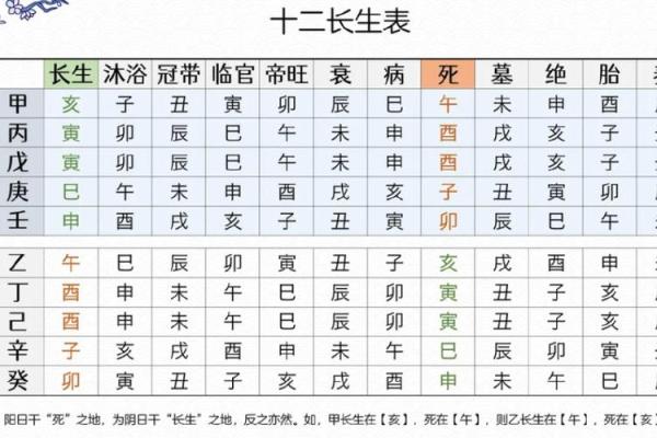 十天干的含义与运用详解