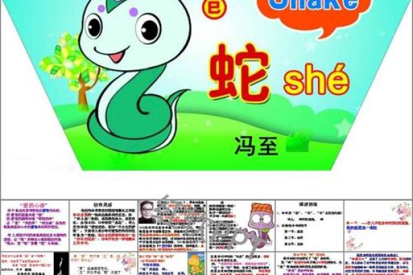 蛇和兔的婚姻故事：和谐与冲突并存的关系