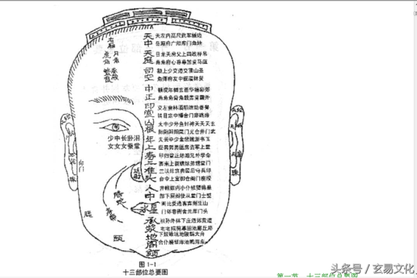 面相天庭分析：走向成功的第一步