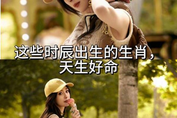 猴年出生的性格与命运走向分析