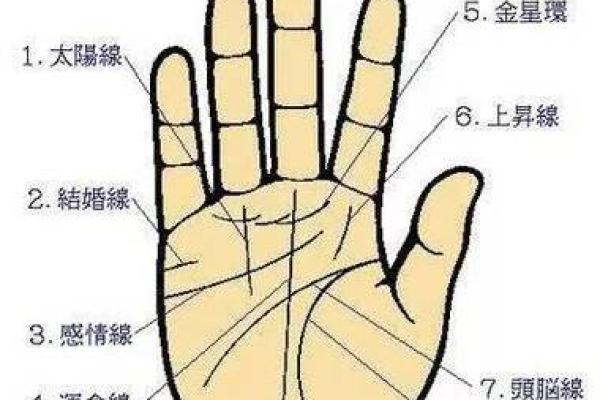 手指尖手相：从指尖纹路看你的人生轨迹