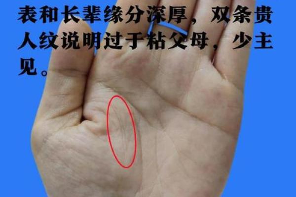 手相与生育：掌纹的深层含义可能预示着你的母性运势