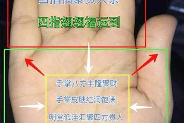 手相揭秘：富贵之人的掌纹特征和运势分析