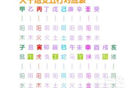 十大天干与五行的关系及其应用解析