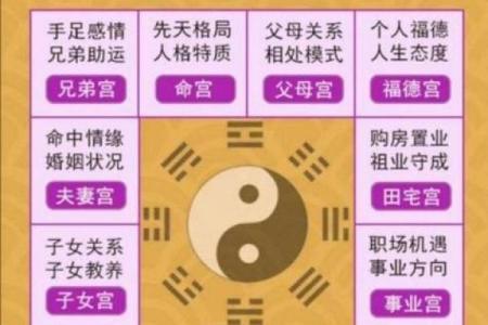 从命理角度看人生：根据出生日期揭示你的命运走向