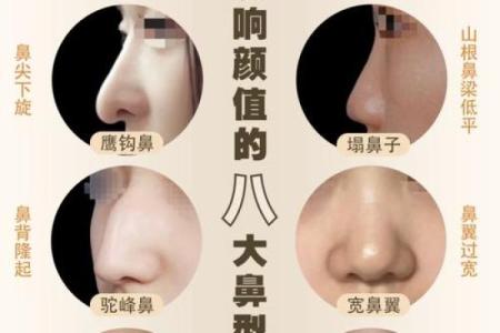 鼻型面相与运势：从鼻子看你的财富与健康走势