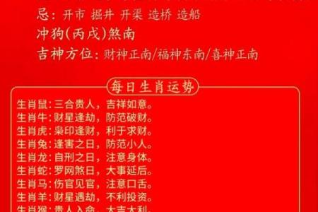 十二生肖今日运势一览，如何应对挑战与机遇