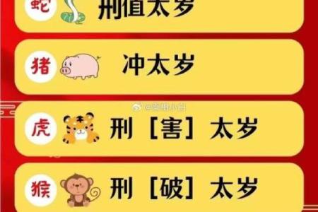 提升属猪运势的风水方位与财位选择