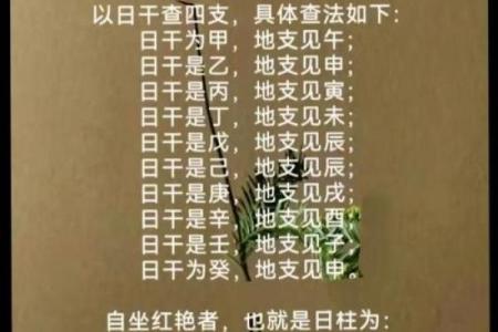 胎命在八字命理中的含义解析