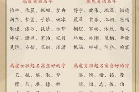 老虎命的真正含义与命理解析