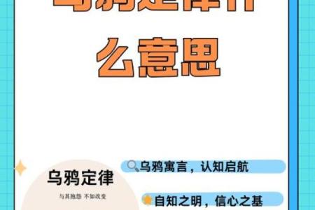 身经百战的生肖，勇敢与智慧并肩同行