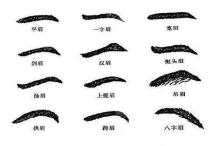 眉毛在面相中的风水意义与命运解析