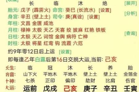 查生辰八字能揭示什么命运走向