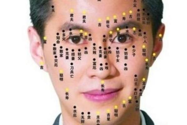 如何通过鼻子的形状预测未来运势与发展方向