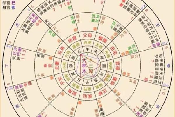 深入了解紫微排盘软件的功能与优势