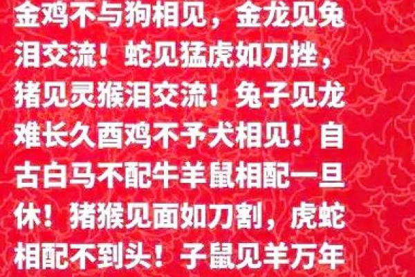 生肖狗与鸡结合：婚姻中的相互影响与和谐度