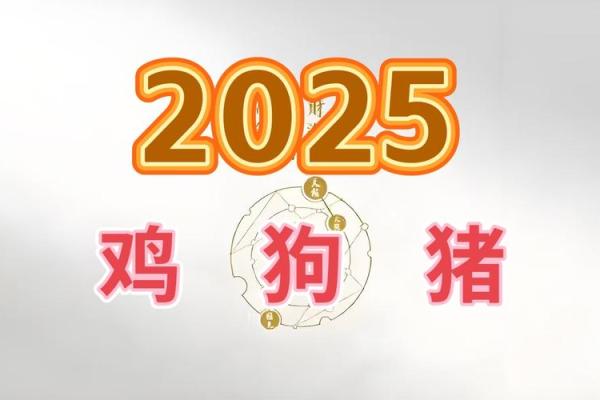 生肖狗与鸡结合：婚姻中的相互影响与和谐度