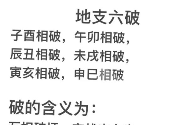 了解生肖相破对运势的深刻影响