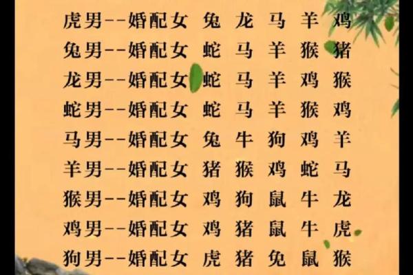 男羊女鸡星座配对的婚姻运势如何