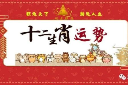 兔年事业运势分析 助你职场步步高升