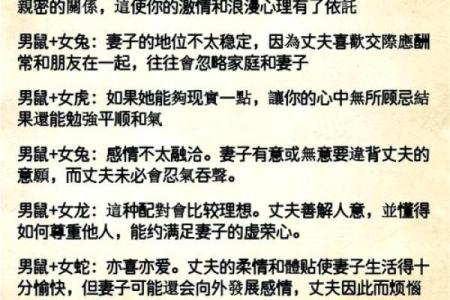 女猪男鼠婚姻是否幸福？性格与命理的深度分析