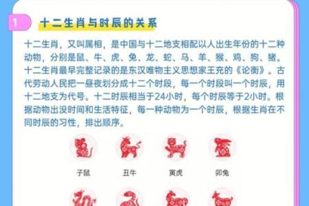 解析森林之王与生肖的关系