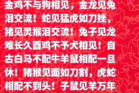 生肖狗与鸡结合：婚姻中的相互影响与和谐度