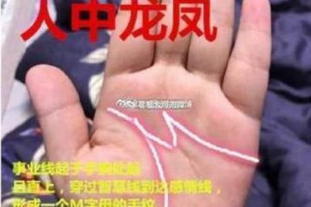 手相解析：不同掌纹类型如何影响你的生活轨迹